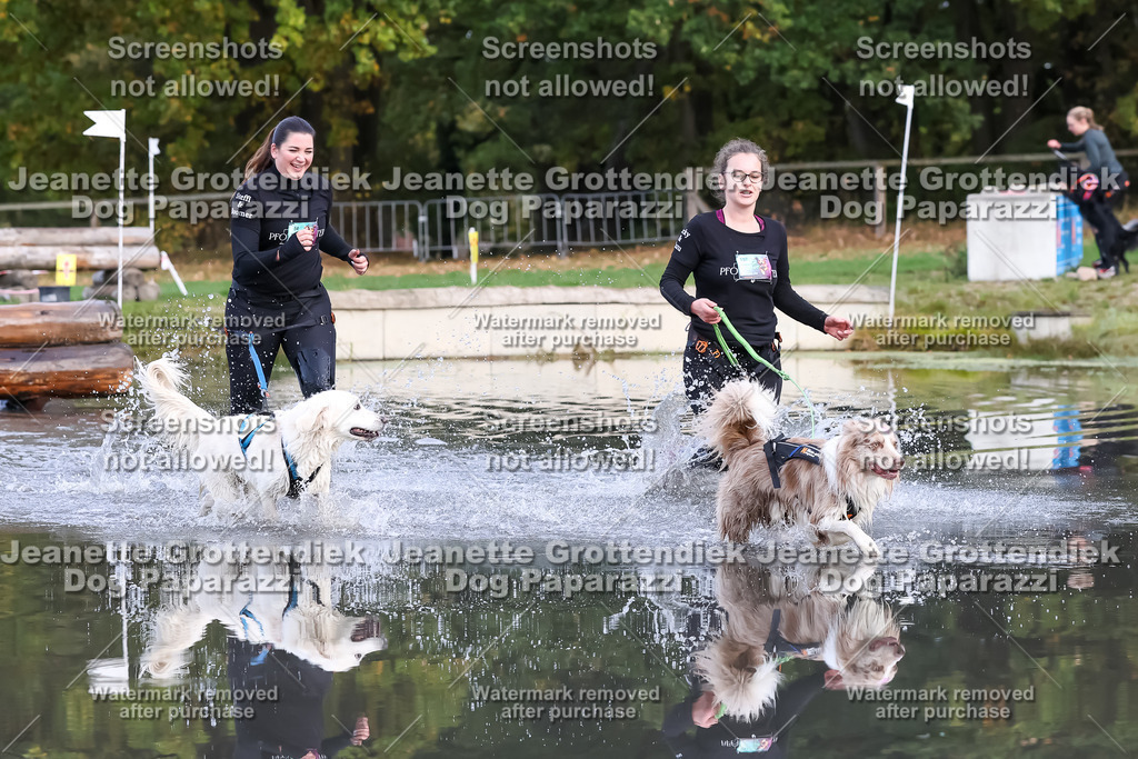 Dog Paparazzi - Strongdog 10-25-6908 | Dog Paparazzi Jeanette Grottendiek Fotografie & Videografie - Realisiert mit Pictrs.com