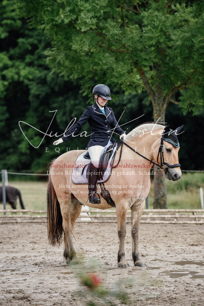 DSC_1717 | Pferde- und Turnierfotografie in Westsachsen. Pferdeportraits, Auftragszeichnungen und intuitive Kunst.