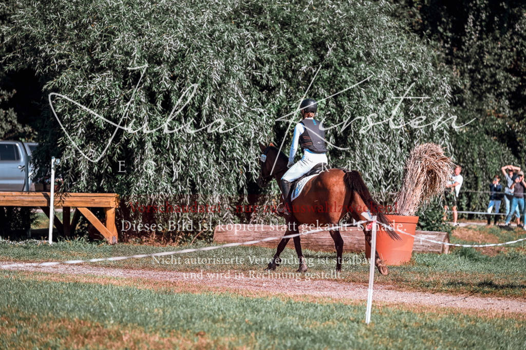 DSC_0673 | Pferde- und Turnierfotografie in Westsachsen. Pferdeportraits, Auftragszeichnungen und intuitive Kunst.