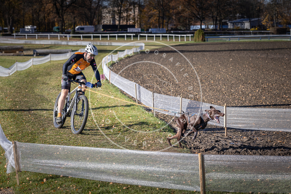 CaniXpix_DV3A5601 | Hundefotografie, Tierfotograf, Pfotenfotografie, Fotoshooting Hund, Hunde Portrait, Hundesport, Hundeportraits, Heideshooting, Hunde, Sportfotograf, Hundefotograf, Turnierhundsport, THS,  - Realisiert mit Pictrs.com