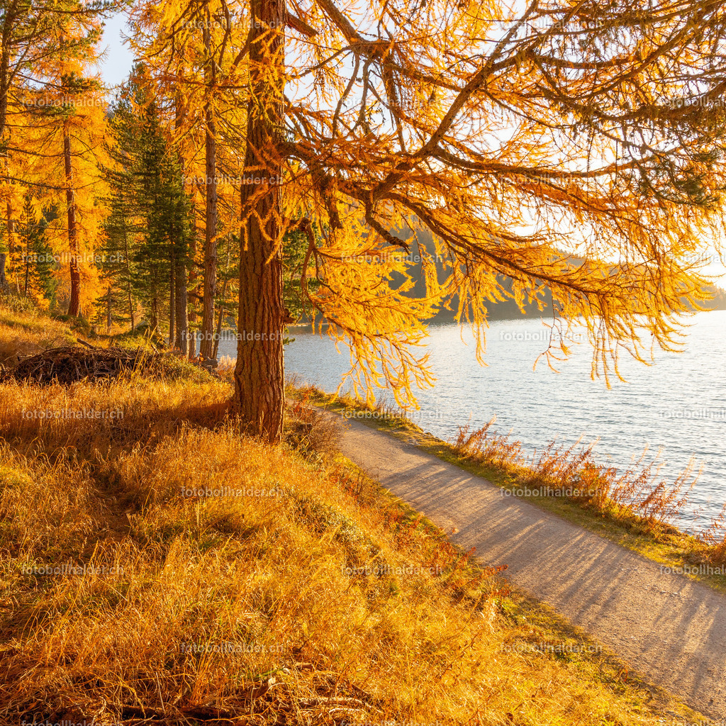 IMG_0457_1 | Foto Bollhalder 