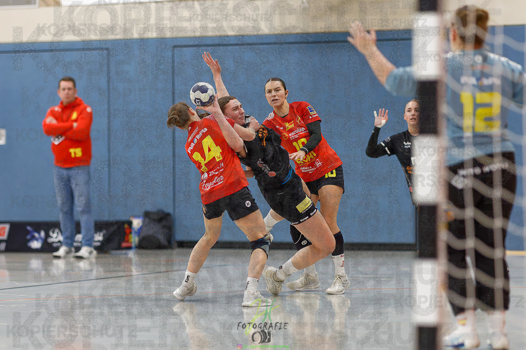 Frauen Regionalliga (HHV); HSG Wettenberg - HSG Twistetal | Frauen Regionalliga (HHV); HSG Wettenberg - HSG Twistetal am 08.11.2025 in Launsbach (Wettenberg) (Halle GS Launsbach (Wettenberg))Photo © 2025 - Jörg Heinrich - Realisiert mit Pictrs.com