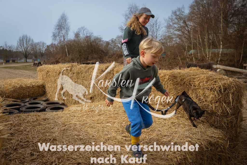 1113_ZZ92373 | kk-dogfotos