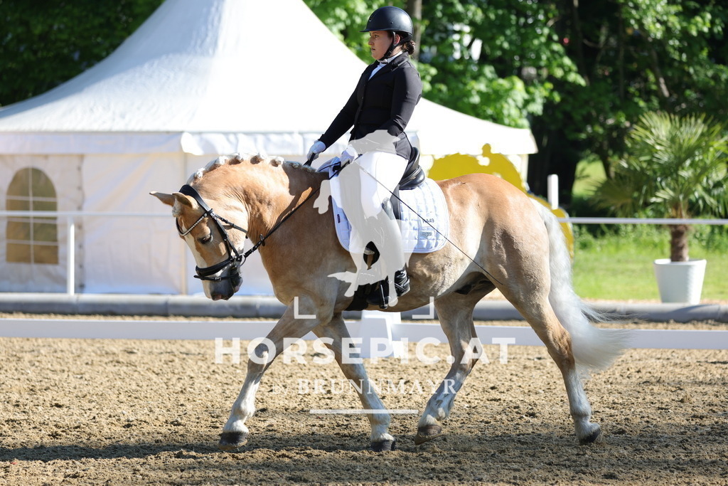 0P6A9352 | Willkommen bei Brunnmayr - Design & Fotografie – Ihrem Spezialisten für Reitturniere und Pferdeveranstaltungen in Oberösterreich, Salzburg und Bayern! Seit über 17 Jahren sind wir leidenschaftlich dabei.