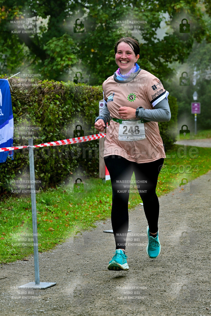 Z8N_2422 | la-psv - Realisiert mit Pictrs.com