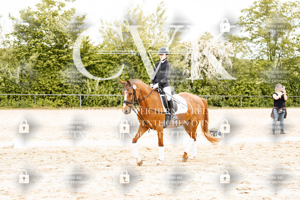 CK904219 | Turnierfotografie Pferdefotografie Trier Rheinland-Pfalz Pferdesport Reitsport Tierfotografie Sportfotografie Pferdevideo Pferdevideografie Equestrianvideography equestrianphotography  - Realisiert mit Pictrs.com