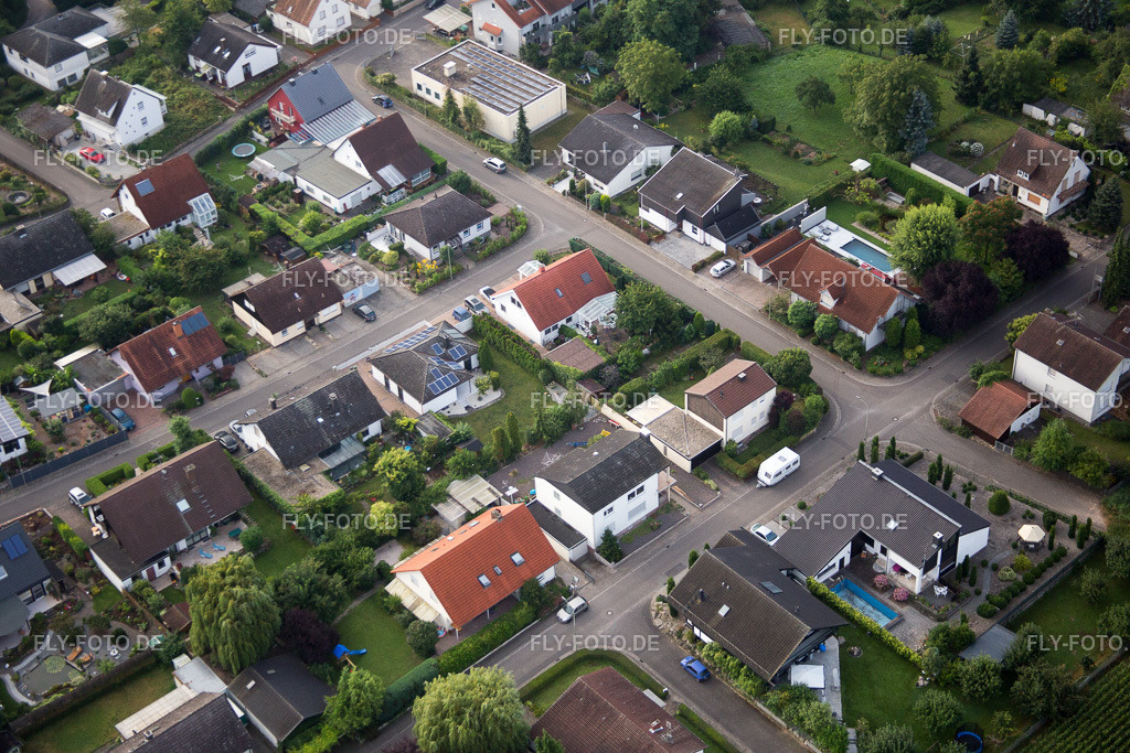 Billigheim-Ingenheim, Maxburgstr | Luftbild: Billigheim-Ingenheim, Maxburgstr im Ortsteil Billigheim in Billigheim-Ingenheim im Bundesland Rheinland-Pfalz in Deutschland. Foto: IMG_092752.jpg vom 13.08.2016 durch Werner Riehm/FLY-FOTO.de - Realisiert mit Pictrs.com