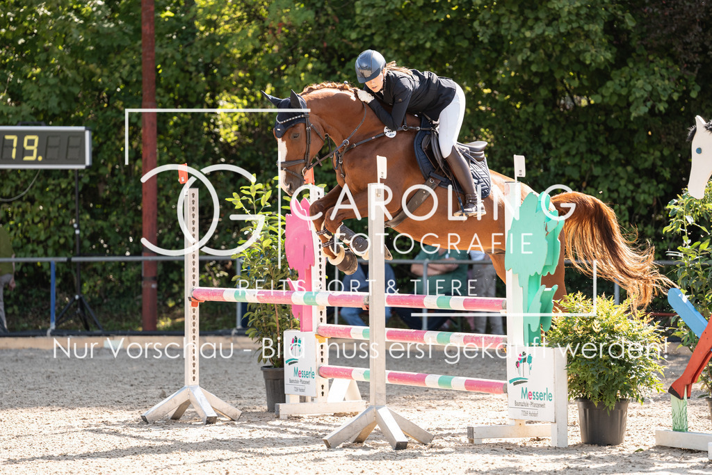 DSC02067 | Carolin Gieschke