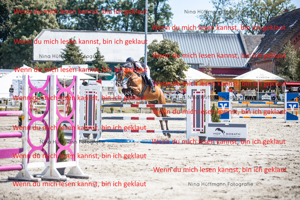 BK1A6495 | Turnierbilder Turnierfotos Nina Hüffmann Turnierfotografie Pferdefotografie Tierzeichnung Haustierzeichnung Pferdezeichnung Hundezeichnung Videograf  - Realisiert mit Pictrs.com