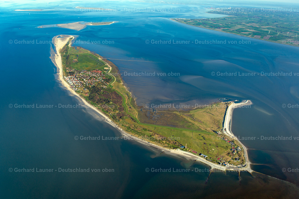 3801434 | Wangerooge Nationalpark Niedersächsisches Wattenmeer