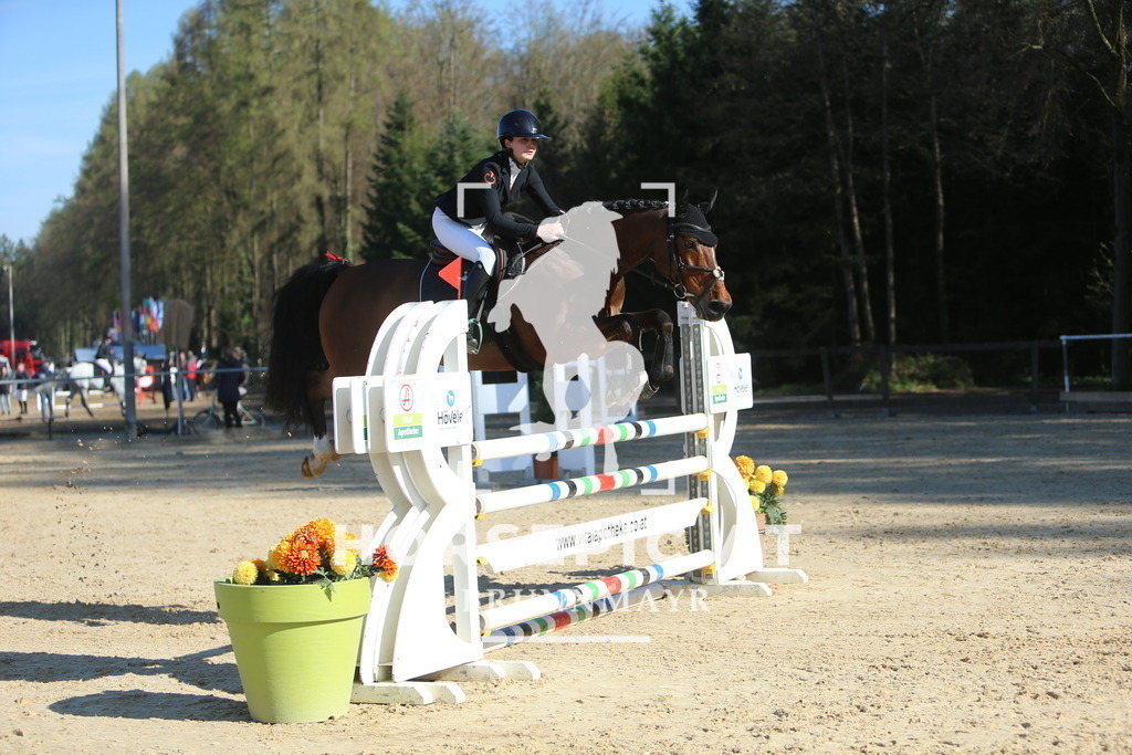 DL2Q1311 | Willkommen bei Brunnmayr - Design & Fotografie – Ihrem Spezialisten für Reitturniere und Pferdeveranstaltungen in Oberösterreich, Salzburg und Bayern! Seit über 17 Jahren sind wir leidenschaftlich dabei.