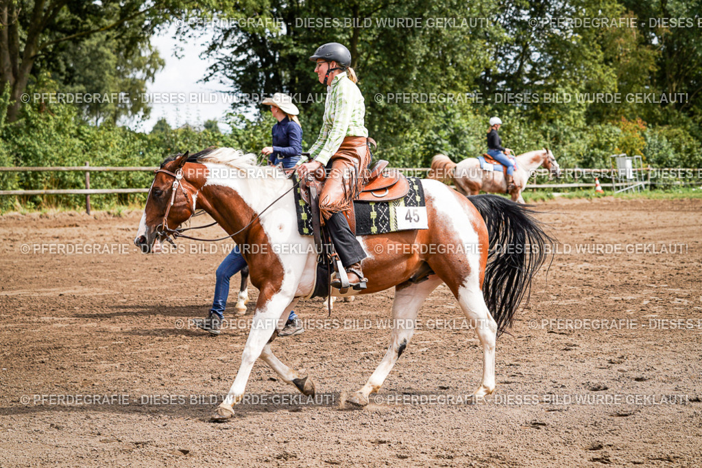 DSC07542 | Pferdegrafie