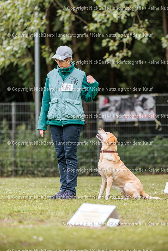 RO-Blumenthal-2026-Nickbest-Hundefotografie-1320 | Dein Hund! Dein Moment! Deine Erinnerungen! Hundefotografie in Bremen Blumenthal. Ich fange die besonderen Momente deines Vierbeiners ein – ob Indoor mit Blitzanlage oder in der freien Natur. Sicher dir dein Moment und dein Termin für eure Erinnerungen.