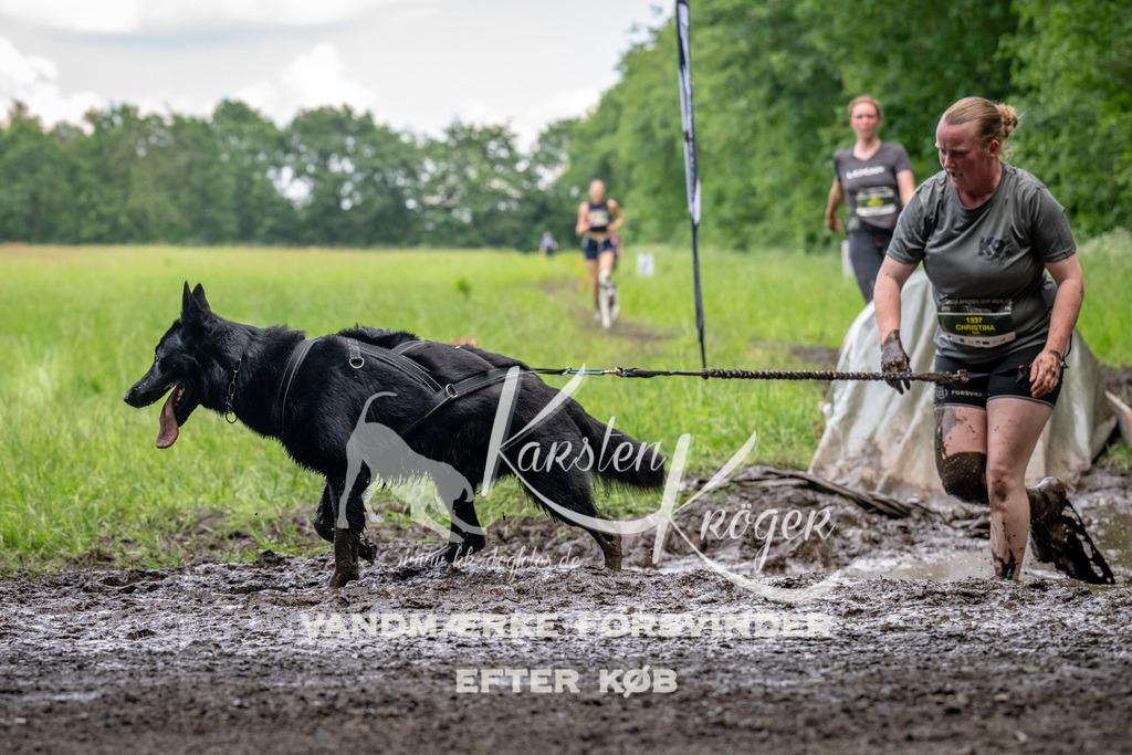 1524_ZZ93265 | kk-dogfotos