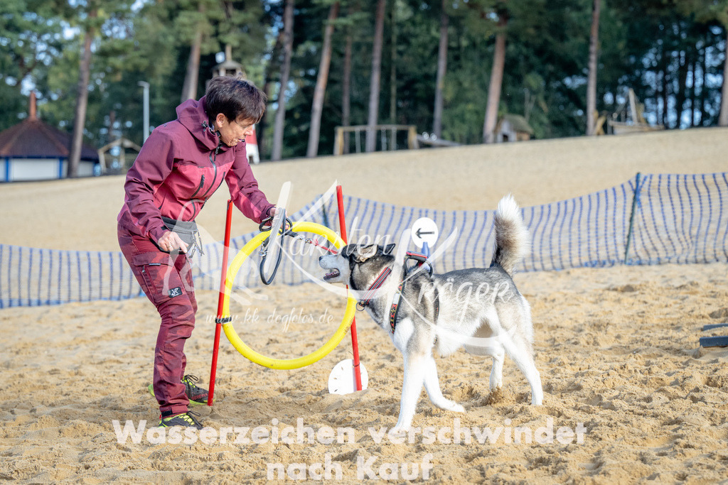 0953_ZZ93018 | kk-dogfotos