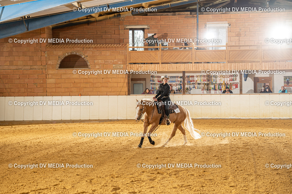 MIT00674 | dv-media-shop - Realisiert mit Pictrs.com