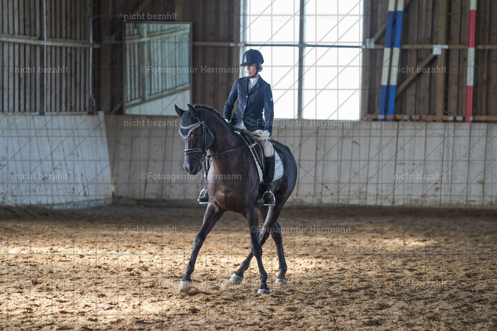20230917-FAH09950 | Landsberg am Lech, 2023, Kaufbeuren, Kempten, Allgäu, Turnierfotografen Bayern, Fotoagentur Herrmann, Turnierbilder, Reitsport Fotos, Pferdefotograf, Augsburg, Bad Tölz, Dachau, Karlsfeld, Memmingen, Buchloe, Schwabmünchen