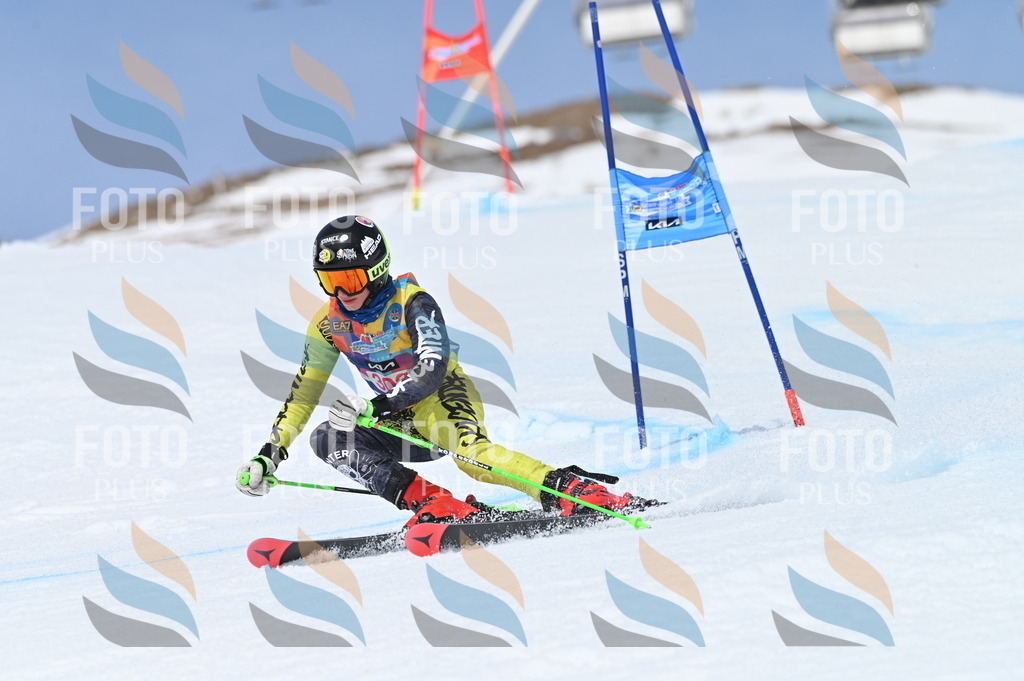 BGV_2818 | holidayphoto