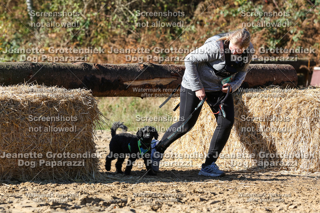 Dog Paparazzi - Strongdog 10-25-2243 | Dog Paparazzi Jeanette Grottendiek Fotografie & Videografie - Realisiert mit Pictrs.com