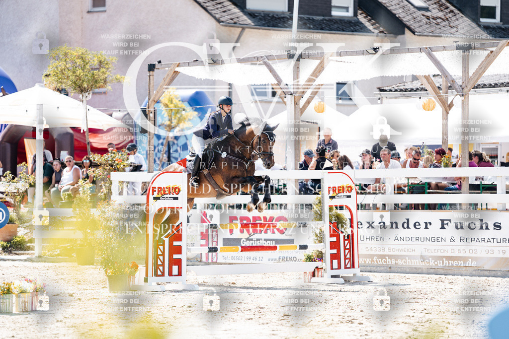 CK909248 | Turnierfotografie Pferdefotografie Trier Rheinland-Pfalz Pferdesport Reitsport Tierfotografie Sportfotografie Pferdevideo Pferdevideografie Equestrianvideography equestrianphotography  - Realisiert mit Pictrs.com