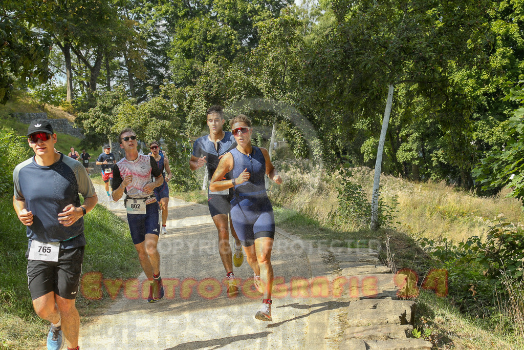 250824_1451_EX1_7805 | Sportfotografie im Rhein-Sieg Kreis, Köln, Bonn, NRW, Rheinland Pfalz, Hessen, etc. Unser Tätigkeitsfeld umfasst den Laufsport vom Volkslauf über den Marathon, Duathlon, Triathon bis zum Ultralauf wie Kölnpfad Ultra oder Schindertrail.