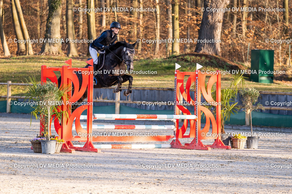 Kranichstein Tag 1-086 | dv-media-shop - Realisiert mit Pictrs.com