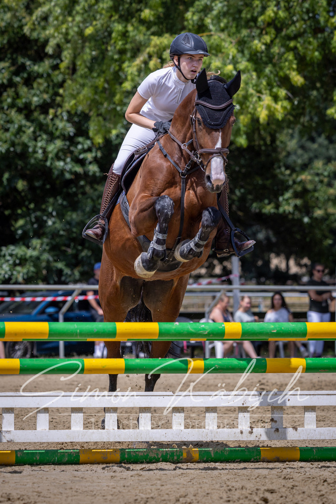 20260704-_3LI9837 | Tierfotografie Pferde, Hunde, Katzen, Haustiere.
Turnierfotografie Reitturniere, Reiten, Springreiten, Dressur in Hanau, dem Main-Kinzig-Kreis und dem Rhein-Main- Gebiet um Frankfurt