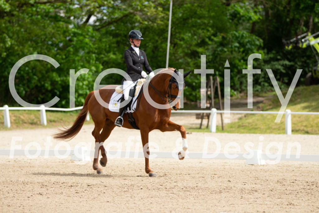 IMG_6798 | Creatify Fotografie