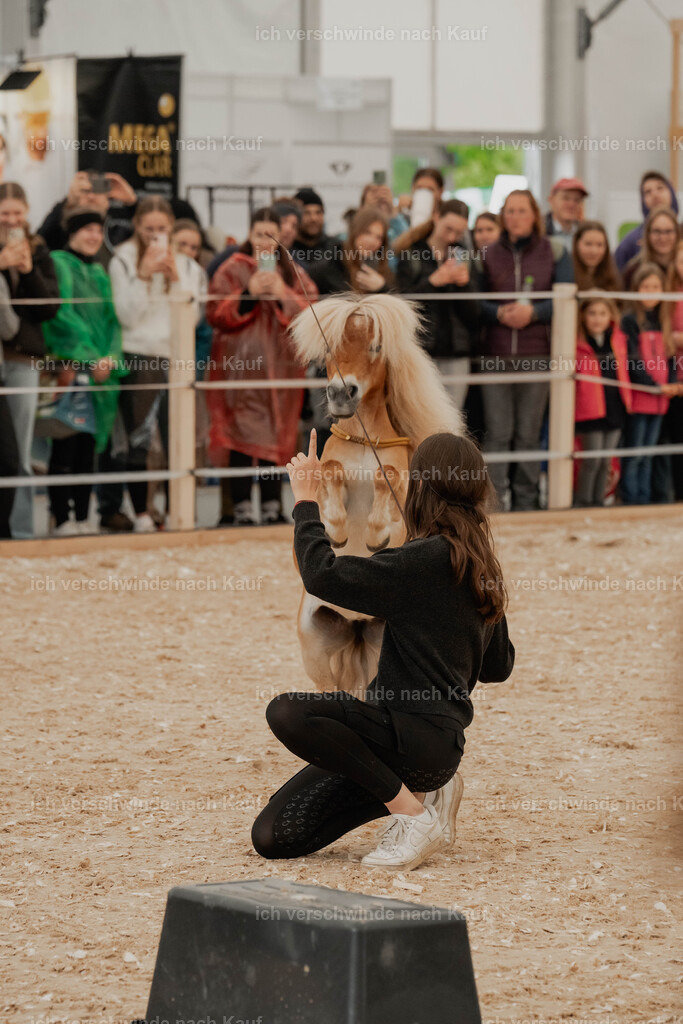 Showprogramm-65 | working equitationturnier fotograf videograf stoibphotography marixx film working equitation deutschland reitsport turnierfotografie eventfotografie equestrian events