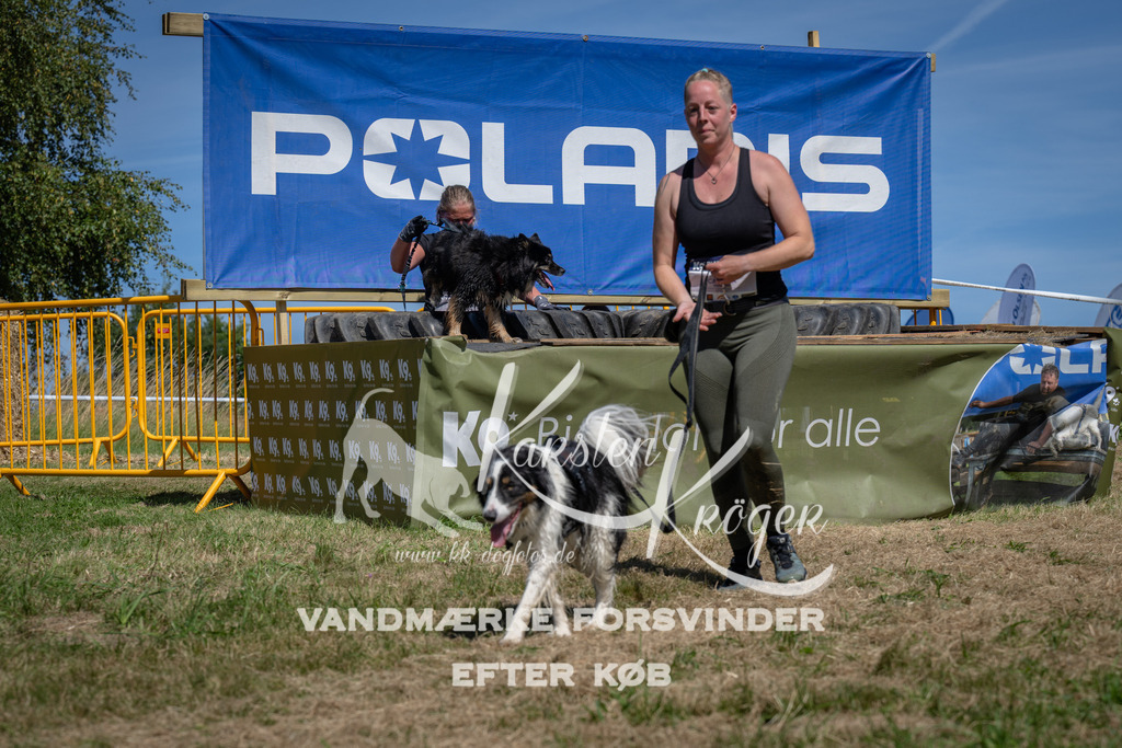 1330_ZZ99005 | kk-dogfotos