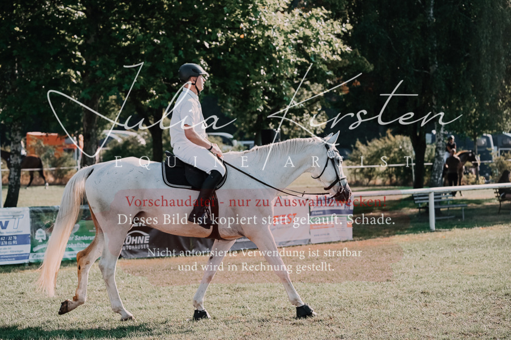 DSC_4568 | Pferde- und Turnierfotografie in Westsachsen. Pferdeportraits, Auftragszeichnungen und intuitive Kunst.