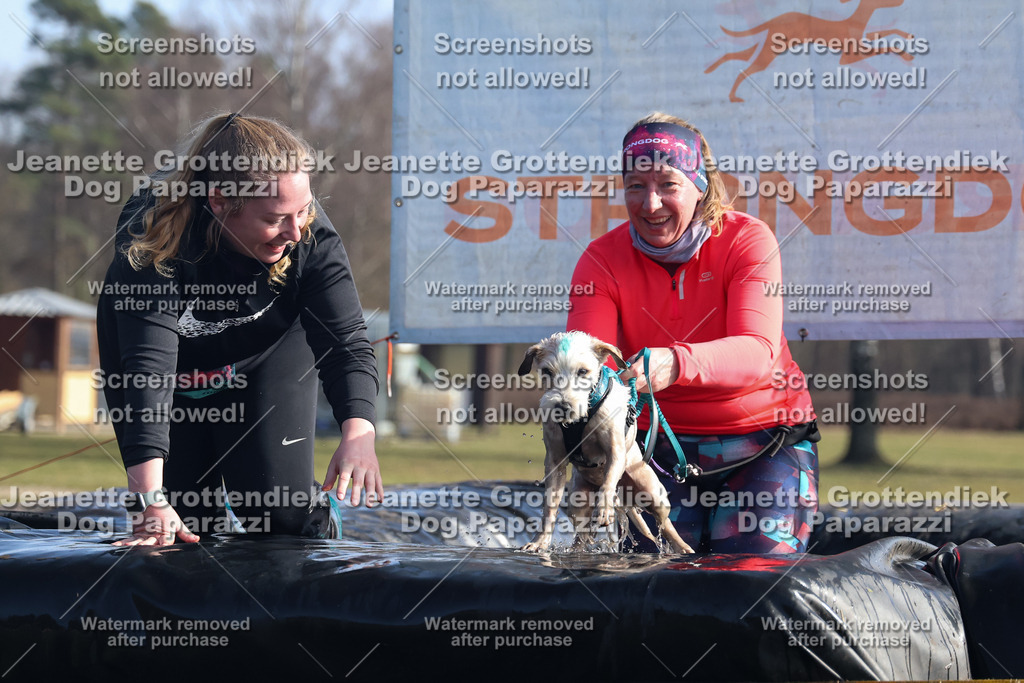 Dog Paparazzi - Strongdog North Mrz26-1287 | Dog Paparazzi Jeanette Grottendiek Fotografie & Videografie - Realisiert mit Pictrs.com
