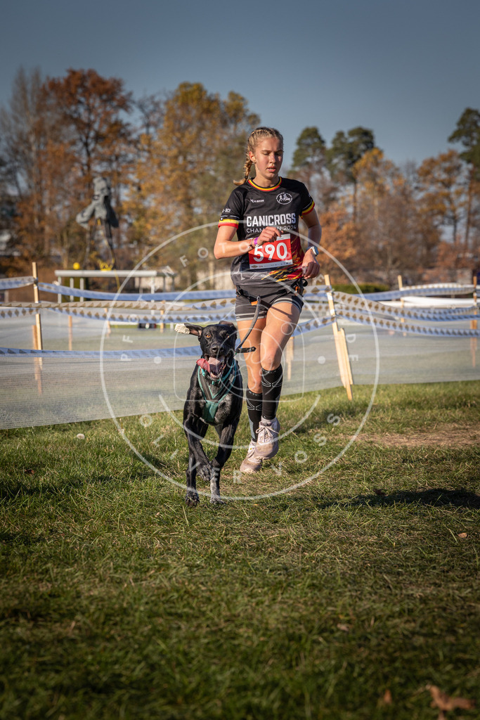 CaniXpix_0L8A8379 | Hundefotografie, Tierfotograf, Pfotenfotografie, Fotoshooting Hund, Hunde Portrait, Hundesport, Hundeportraits, Heideshooting, Hunde, Sportfotograf, Hundefotograf, Turnierhundsport, THS,  - Realisiert mit Pictrs.com