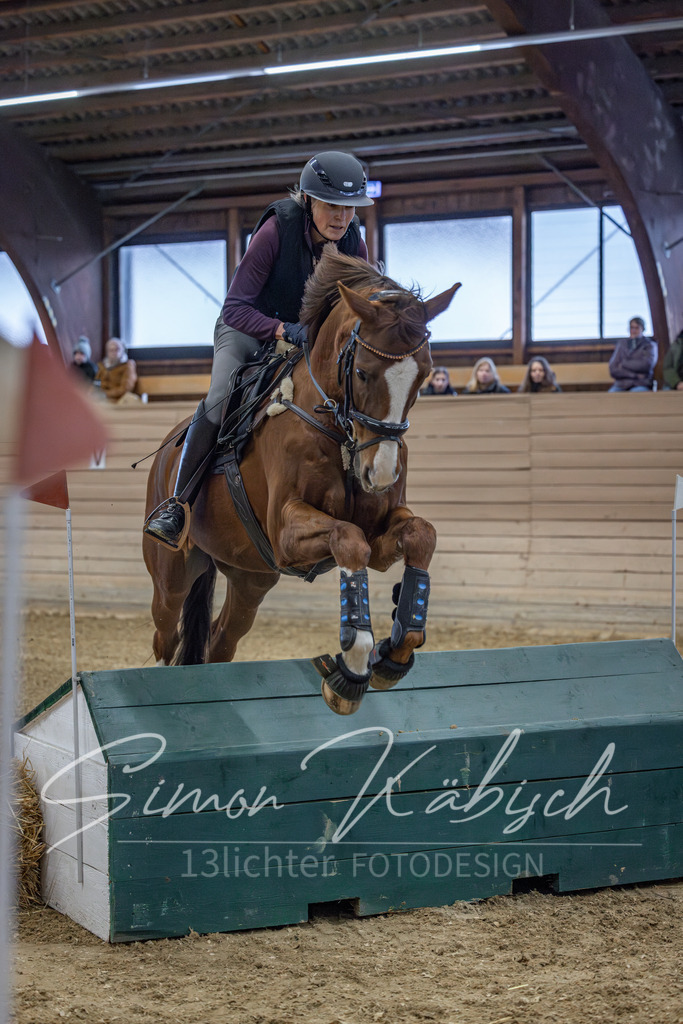 20260221-_3LI8521 | Tierfotografie Pferde, Hunde, Katzen, Haustiere.
Turnierfotografie Reitturniere, Reiten, Springreiten, Dressur in Hanau, dem Main-Kinzig-Kreis und dem Rhein-Main- Gebiet um Frankfurt
