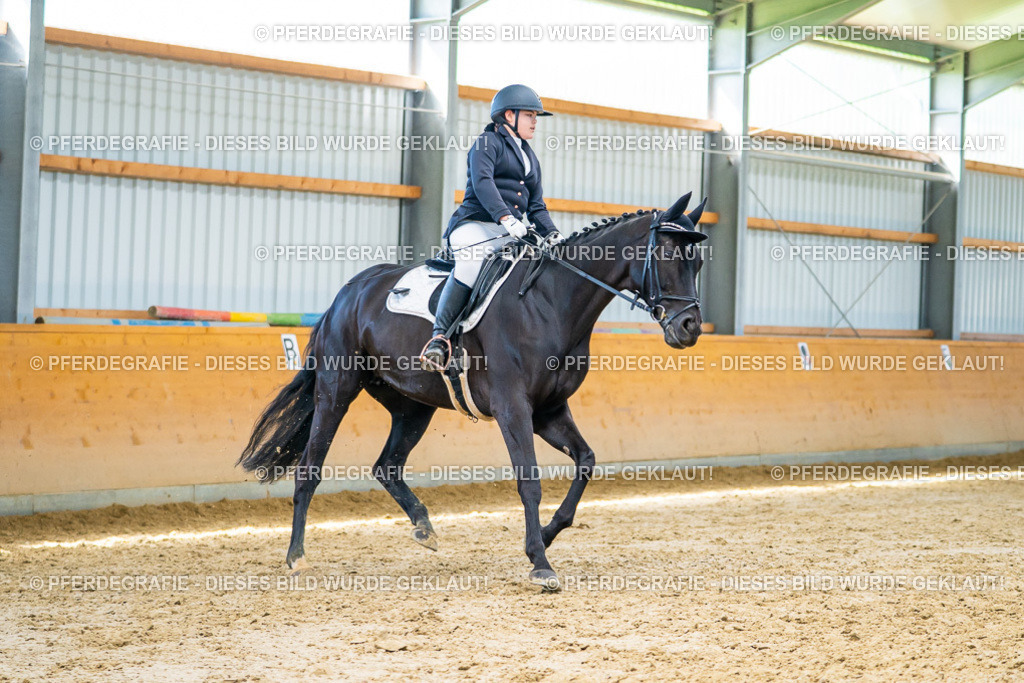 DSC08078 | Pferdegrafie