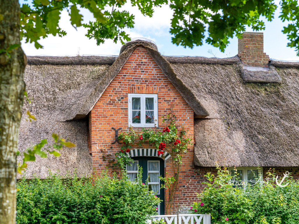 20240619-EAF_4109 | Eilun-Art-Fotografie Levke Martens, ihre Fotografin für Immobilien- und Landschaftsfotografie auf Föhr, Föhrer Motive als Poster, Leinwand, hinter Acrylglas oder stelle dir deinen eigenen Monatskalender zusammen, mit nur einem Klick