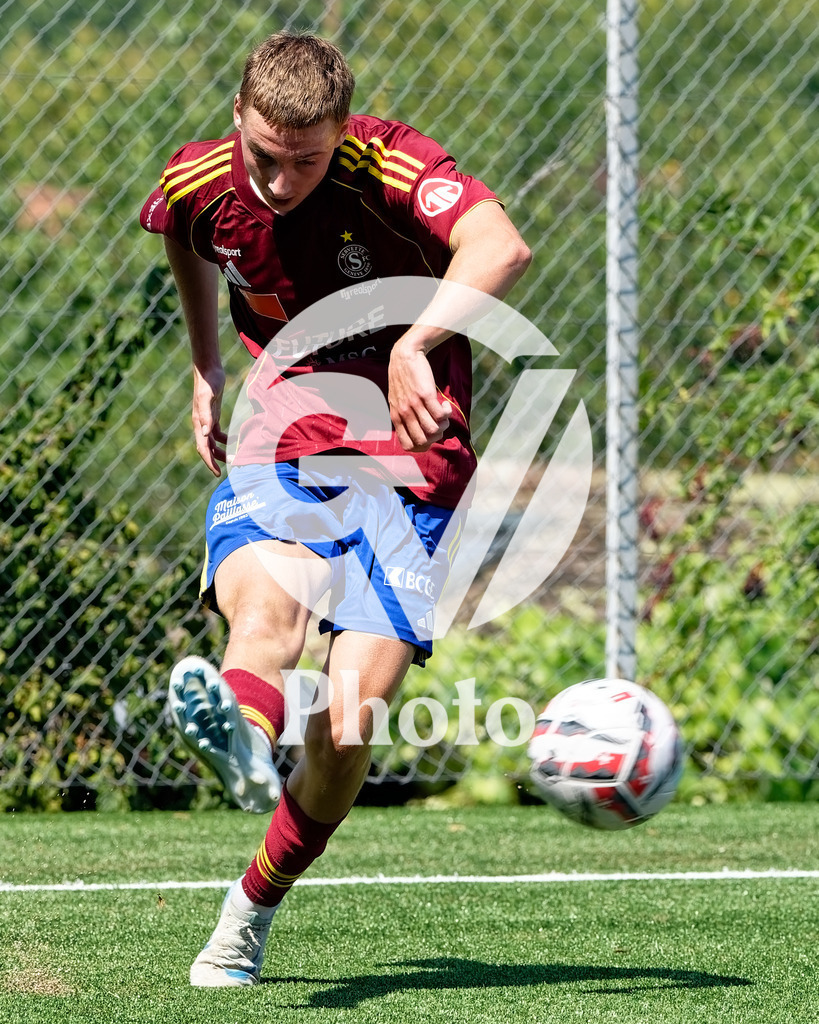 031_DZ8_1569 | Velletri Photo