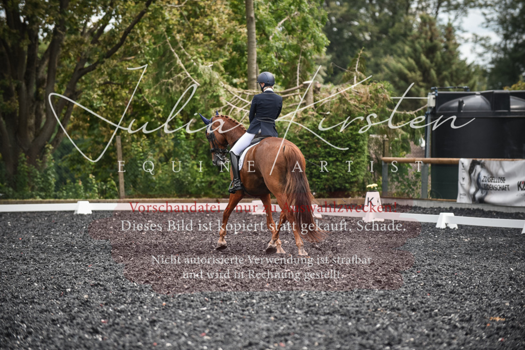 DSC_5034 | Pferde- und Turnierfotografie in Westsachsen. Pferdeportraits, Auftragszeichnungen und intuitive Kunst.
