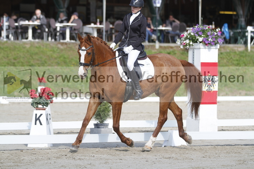 _MG_9252 | equestrian-live-com