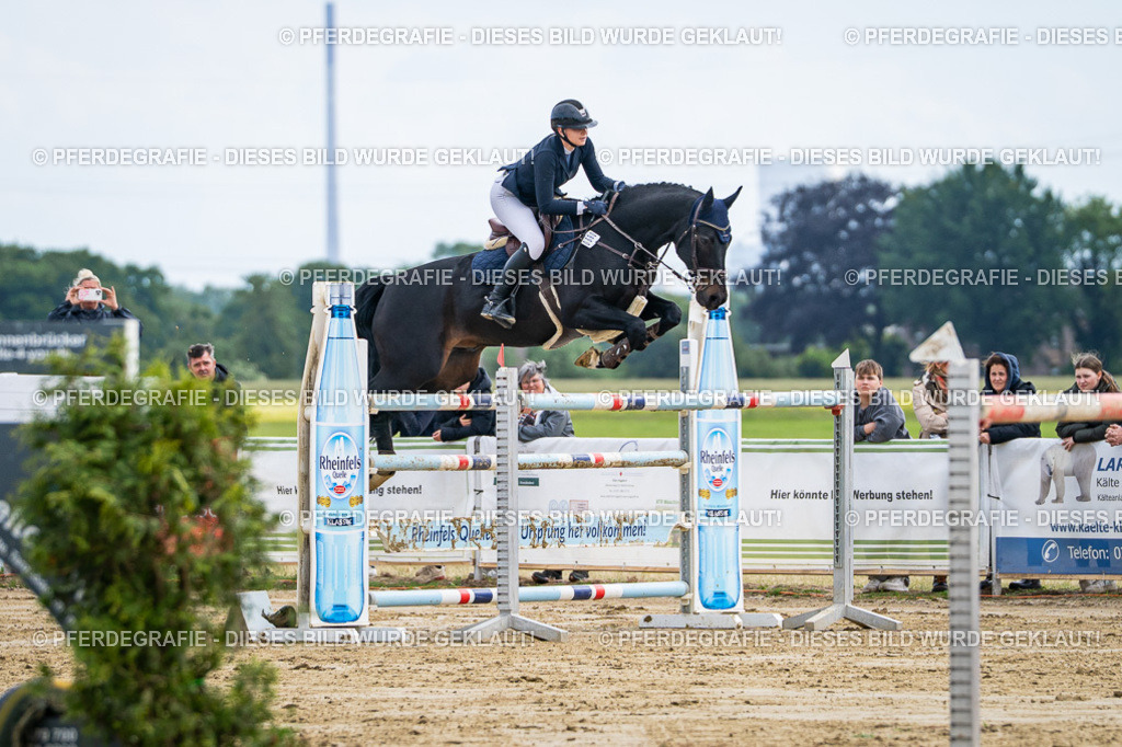 DSC06871 | Pferdegrafie