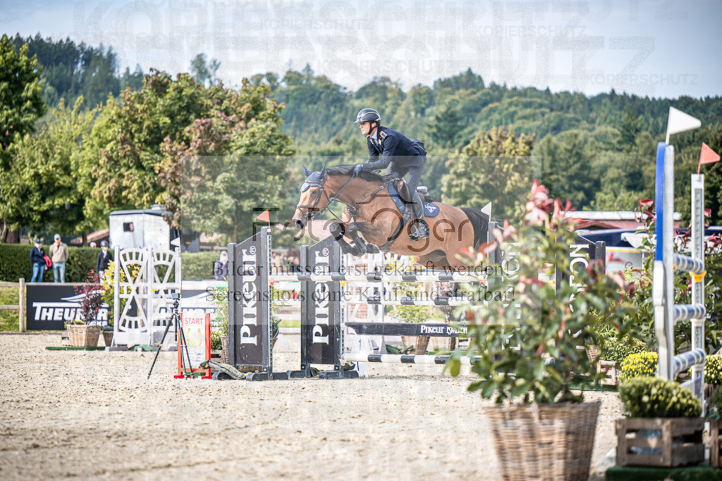 DOS_8173 | Entdecke hochwertige Reitturnierfotos von Foto Oger. Professionell, emotional und authentisch – jetzt Lieblingsmomente im Shop bestellen.Deutschlandweite Turnierfotografie. - Realisiert mit Pictrs.com