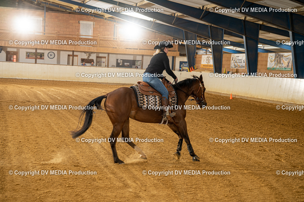 MIT00344 | dv-media-shop - Realisiert mit Pictrs.com