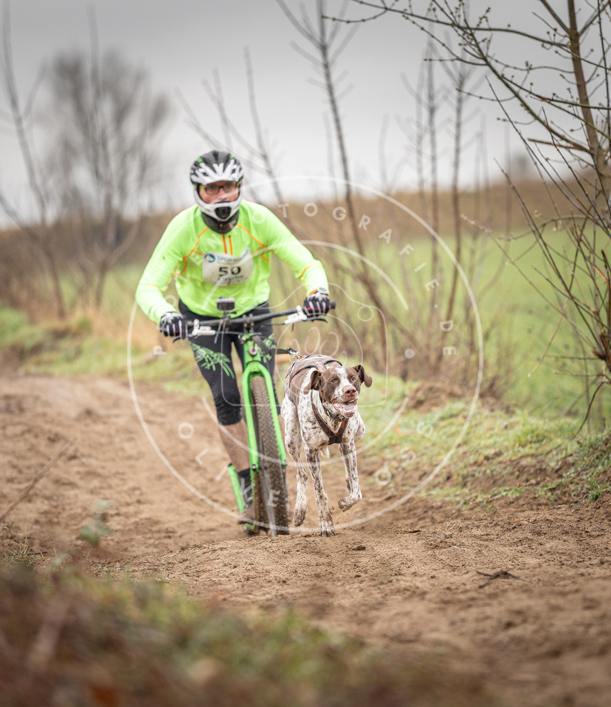 DV3A9225 | Hundefotografie, Tierfotograf, Pfotenfotografie, Fotoshooting Hund, Hunde Portrait, Hundesport, Hundeportraits, Heideshooting, Hunde, Sportfotograf, Hundefotograf, Turnierhundsport, THS,  - Realisiert mit Pictrs.com
