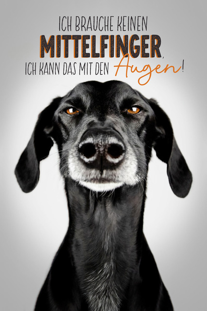 Luke Mittelfinger | "Ich brauche keinen Mittelfinger, ich kann das mit den Augen!"