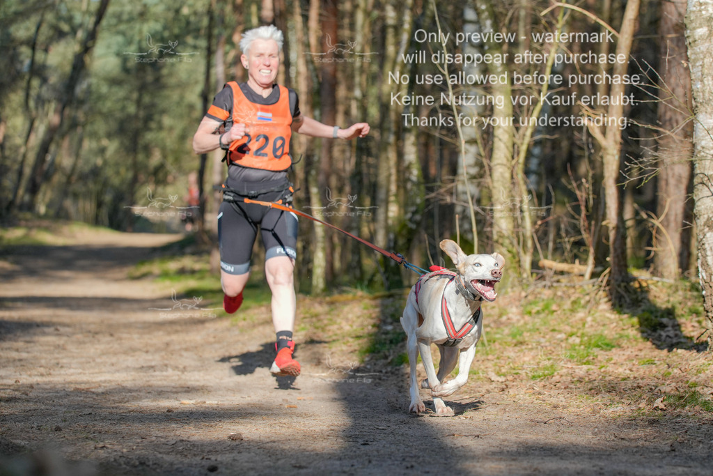 Sa_CC_lang-156 | stephaniefillaphotographie - Realisiert mit Pictrs.com