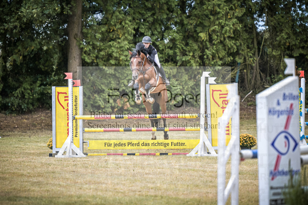 DOS_0478 | Entdecke hochwertige Reitturnierfotos von Foto Oger. Professionell, emotional und authentisch – jetzt Lieblingsmomente im Shop bestellen.Deutschlandweite Turnierfotografie. - Realisiert mit Pictrs.com