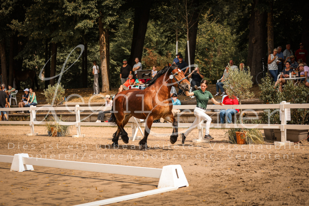 2.Sa00044 | Leoni Ertmer Photography - Realisiert mit Pictrs.com