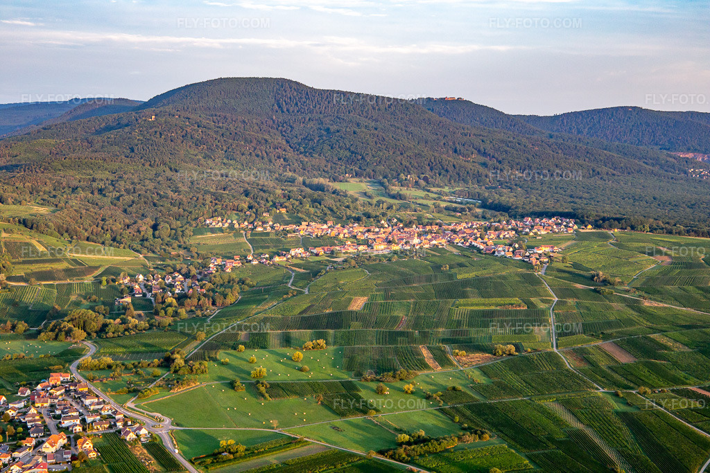 Aerial view: View of the town from the east in Heiligenstein in the state Bas-Rhin, France. – Photo: IMG_137954.jpg taken on 08/19/2023 by Werner Riehm/FLY-FOTO.com – Resolution of the original: 5472 x 3648 px