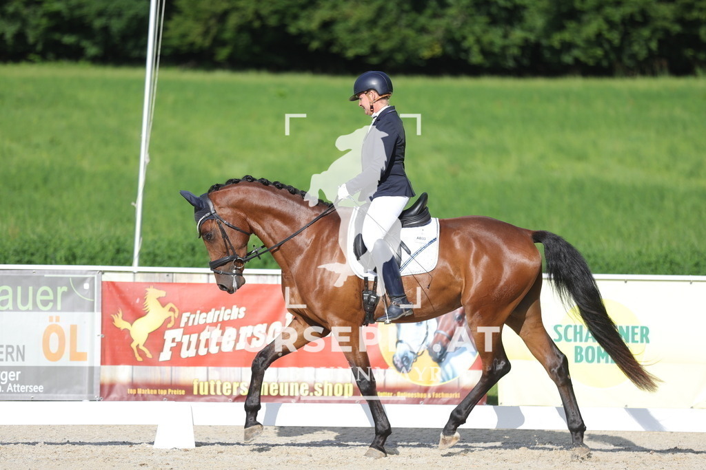 0P6A4413 | Willkommen bei Brunnmayr - Design & Fotografie – Ihrem Spezialisten für Reitturniere und Pferdeveranstaltungen in Oberösterreich, Salzburg und Bayern! Seit über 17 Jahren sind wir leidenschaftlich dabei.