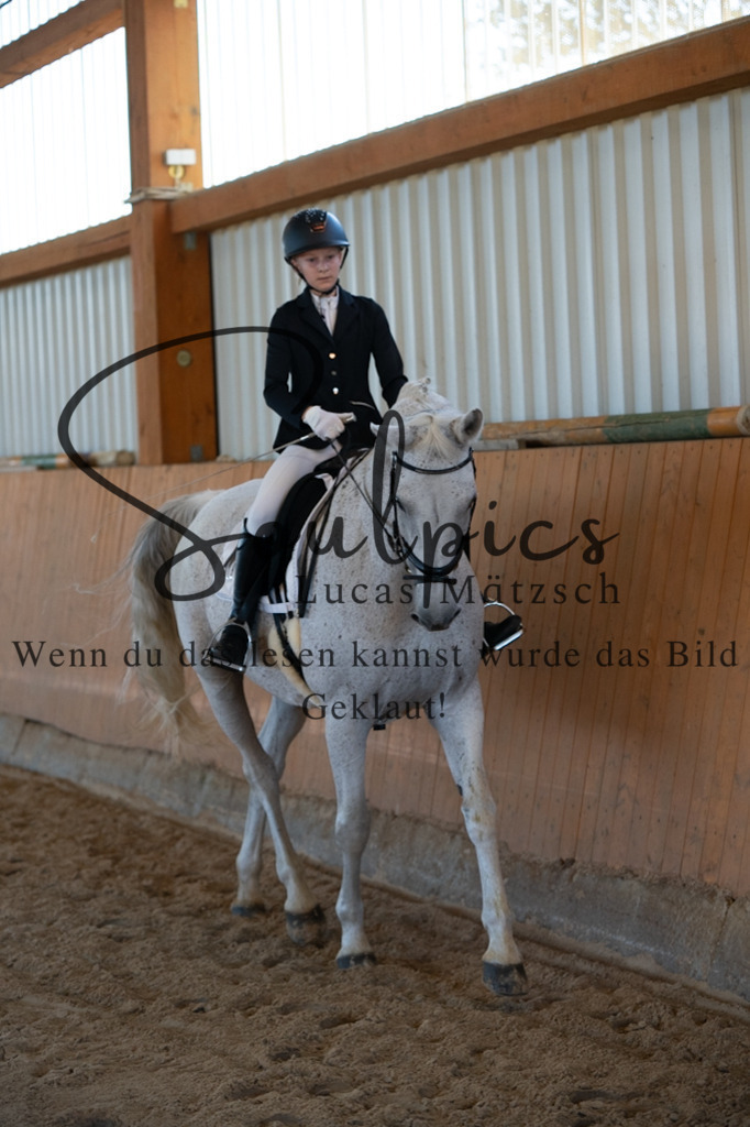 A7V01577 | Turnier/Reitfotograf
